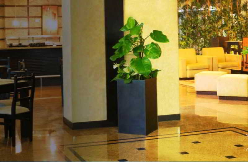 Eurobuilding Express Maiquetia Hotel Exterior photo A Philodendron bipinnatifidum in a hotel lobby